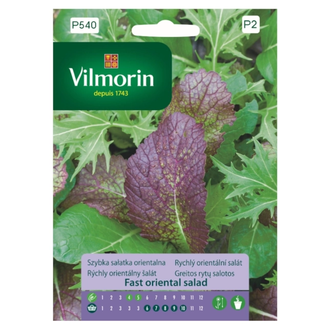 Szybka sałatka orientalna 2g - VILMORIN