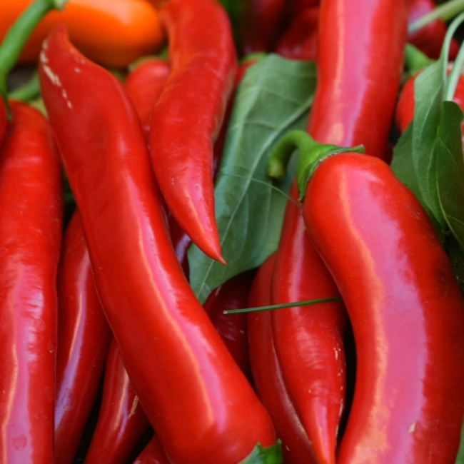 Papryka De Cayenne 0,3g - POLAN