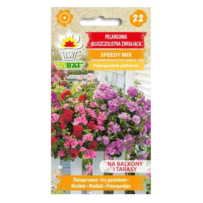 Pelargonia zwisająca Speedy mieszanka nasiona 10szt. - TORAF