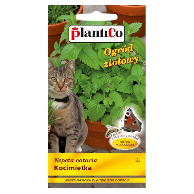Kocimiętka nasiona 0,5g - PlantiCo