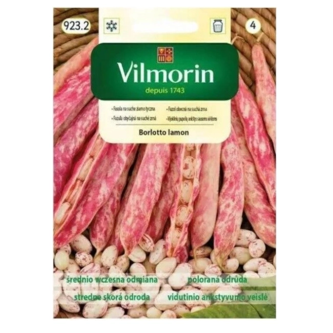 Fasola tyczna Borlott Lamon nasiona 30g - VILMORIN