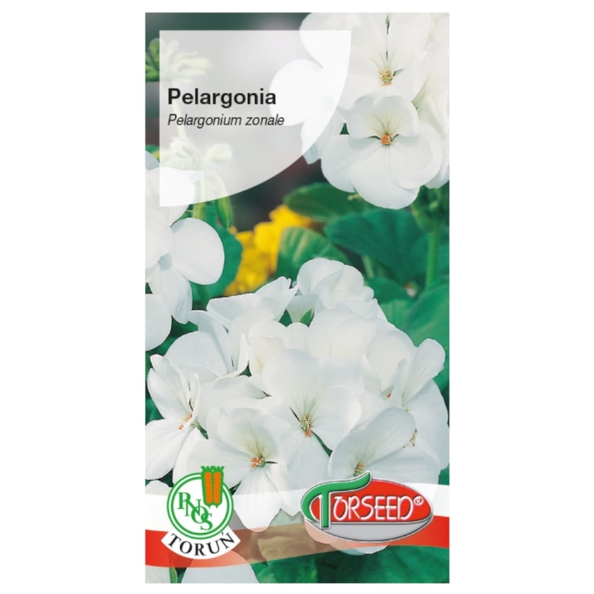 Pelargonia rabatowa biała nasiona 10szt. - TORSEED
