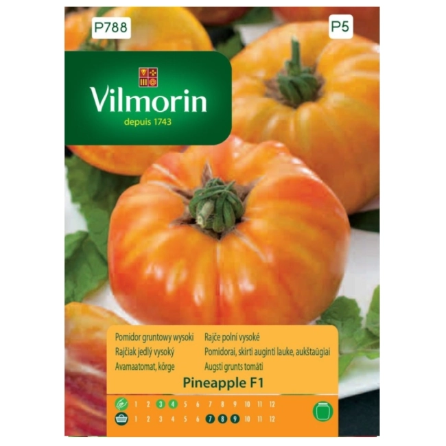 Pomidor wysoki Pineapple F1 nasiona 0,1g - VILMORIN