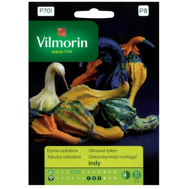 Dynia ozdobna Indy nasiona 1g - VILMORIN