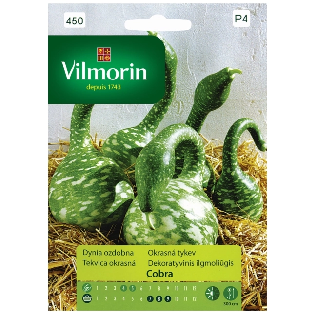 Dynia ozdobna Cobra nasiona 6szt. - VILMORIN
