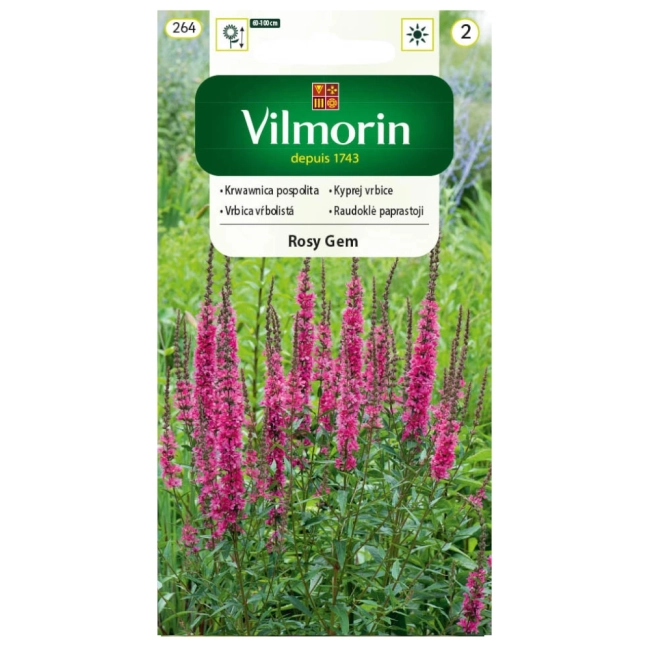 Krwawnica pospolita Rosy Gem nasiona 0,3g - VILMORIN