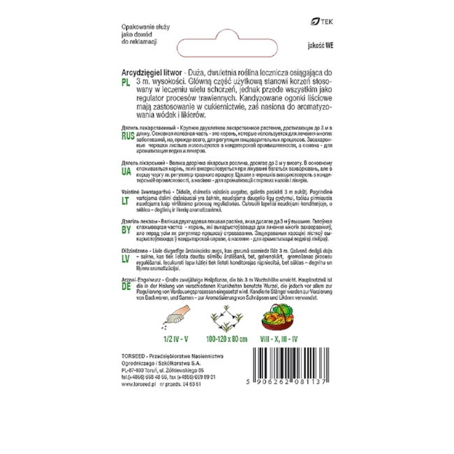Arcydzięgiel litwor nasiona 1g  - TORSEED