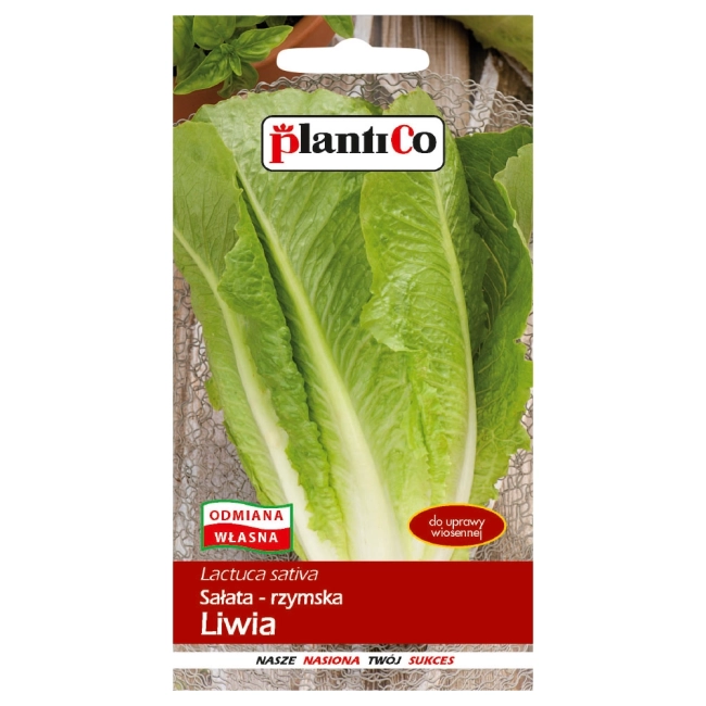 Sałata rzymska długolistna Liwia nasiona 1g - PlantiCo