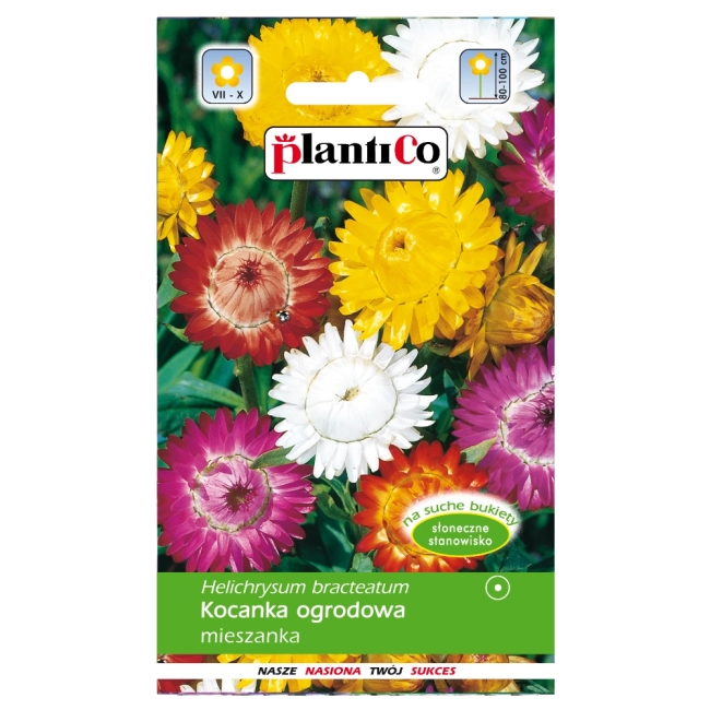 Kocanka ogrodowa mieszanka nasiona 1g - PlantiCo