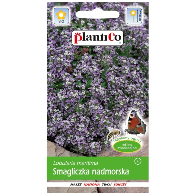 Smagliczka nadmorska różowo- fioletowa nasiona 0,5g - PlantiCo
