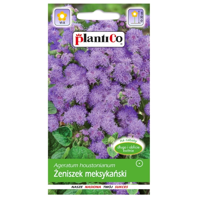 Żeniszek meksykański Tetra Blue Mink nasiona 0,25g - PlantiCo