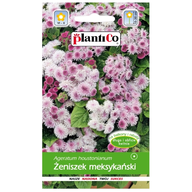 Żeniszek meksykański różowy nasiona 0,25g - PlantiCo