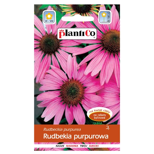 Rudbekia purpurowa nasiona 0,5g - PlantiCo