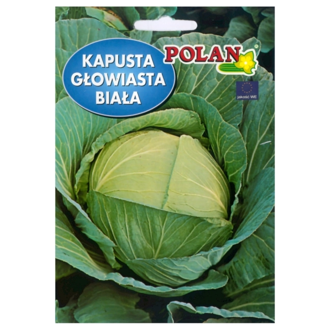 Kapusta głowiasta biała Jasper  mieszaniec nasiona 0,5g - POLAN