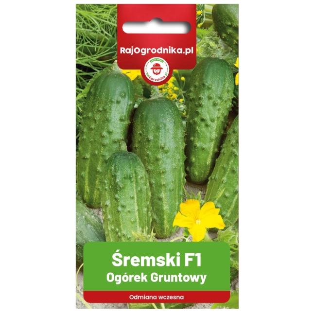 Ogórek Śremski F1 nasiona 5g - Raj Ogrodnika
