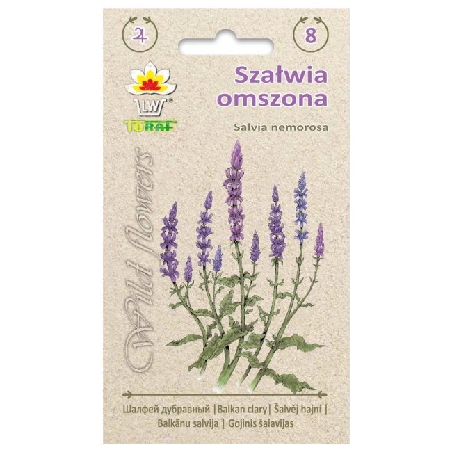 Szałwia omszona nasiona 0,2g - TORAF