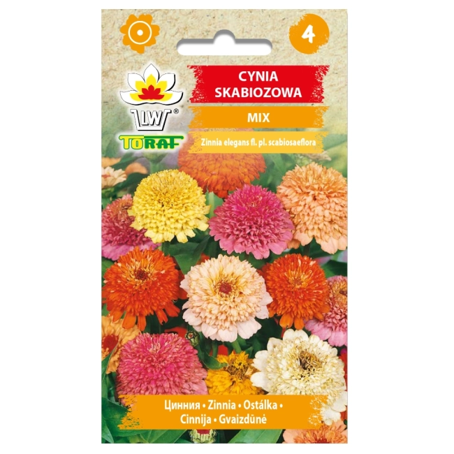 Cynia skabiozowa mix nasiona 0g - TORAF