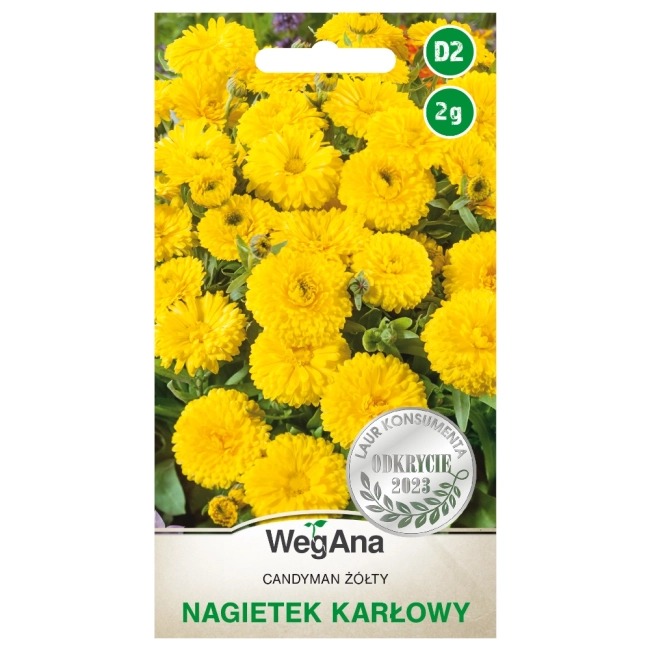 Nagietek karłowy Candyman żółty nasiona 2g - WegAna