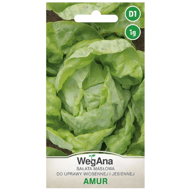 Sałata masłowa Amur nasiona 1g - WegAna