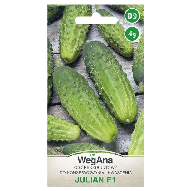 Ogórek konserwowy Julian F1 nasiona 4g - WegAna
